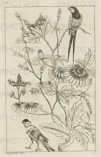 Two birds by flower branches, Chinese women, flowers and birds, print, album page, ornamental