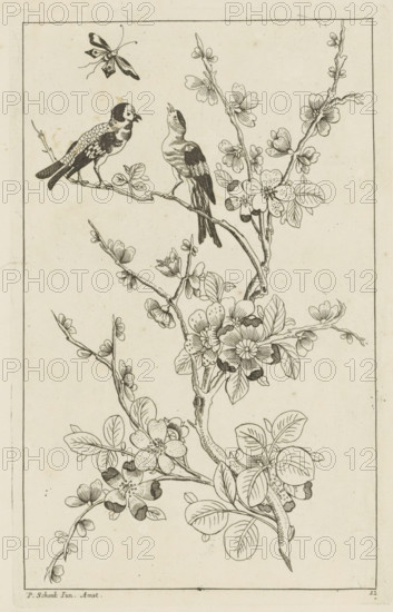Two birds in a blossoming tree and a butterfly, Chinese women, flowers and birds, print, album