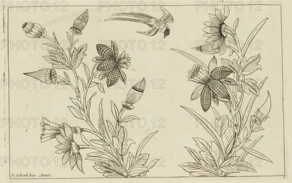 Two flowering bushes and a swallow, Chinese flowers and birds, print, album page, ornamental print,