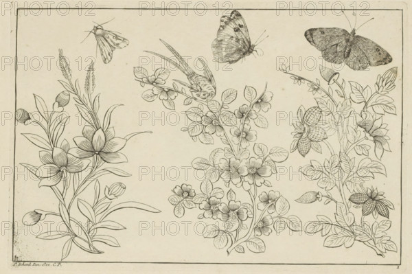 Three flower branches and three butterflies, Chinese flowers and insects, print, album page,