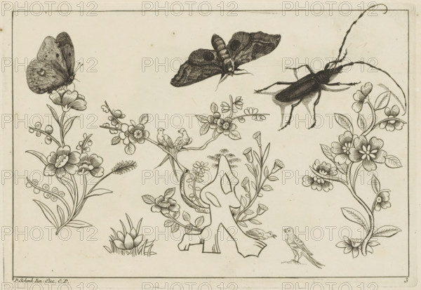 Three flower branches with birds, butterflies and an insect, Chinese flowers and insects, print,