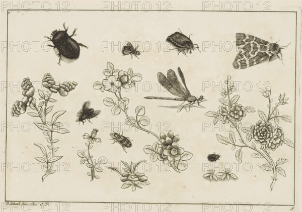 Flower branches with insects, Chinese flowers and insects, print, album page, ornamental print,