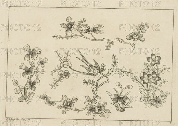 Flower branches with two birds, Chinese flowers and insects, print, album page, ornamental print,