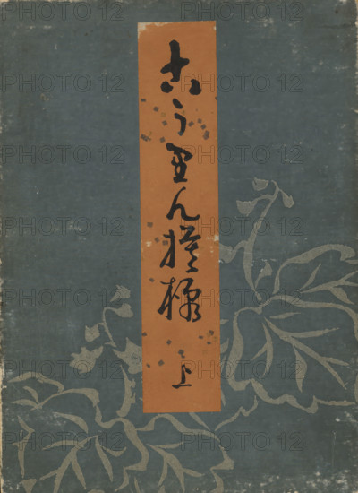 Designs after Kôrin, book, Leperello album with blue cover featuring a foliage motif, brown title