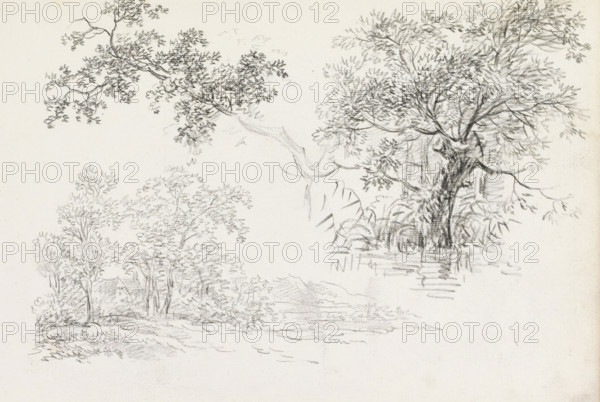 Landscape, branch with leaves and a tree by the waterside, sketchbook page, Page 34 recto from a