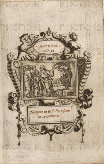 Christ proves to his disciples that he is the Son of God (former title), Christ curses the fig