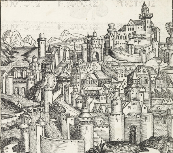 View of Pisa, Pisa, Liber Chronicarum, print, book illustration, pastedown, A view of a city. Here