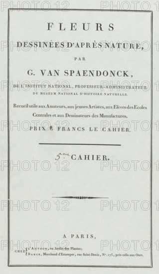 Flowers drawn from nature, 5th Cahier, wrapper, print, Cover for a series of four prints of flowers