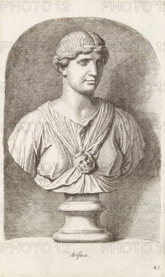 Aristea, Bust of Aristea, print, album page, Series number, 43, 98, Classical bust of Aristea with