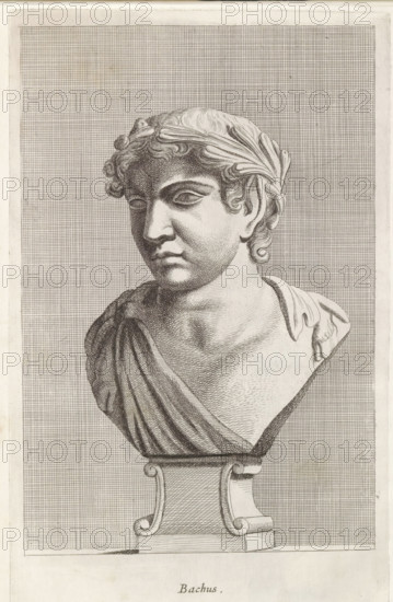 Bachus, Bust of Bacchus, print, album page, Series number, 63, 98, Classical bust of the god