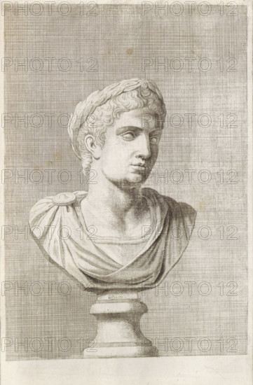 Bust of a young man with laurel wreath, facing right, print, album page, Series number, 81, 98,