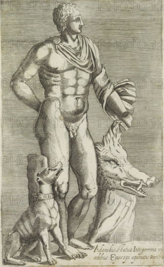 Adonidis statua integerrima in aedibus Episcopi aguinatis Romae, Sculpture of Adonis with hunting