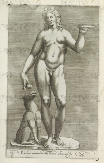 Bacchus è marmore in area aedium Vallensium, Sculpture of Bacchus and a dog, Antiquarum statuarum