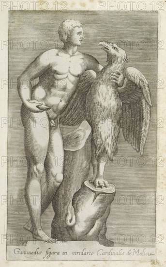 Sculpture of Jupiter as an eagle with Ganymede, Ganimedis figura in viridario Cardinalis de