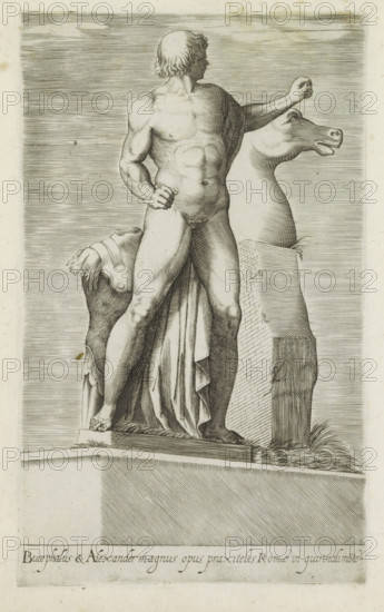 Sculpture of one of the Dioscuri on the Quirinal in Rome, Bucephalus & Alexander magnus opus,