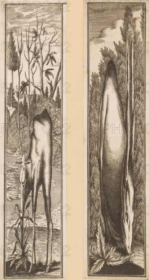 Anamorphosis of a grazing deer, Anamorphoses of various animals, print, number: '23', inscription: