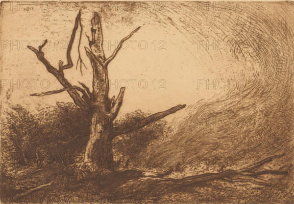 Forest fire in the Forêt de Fontainebleau, print, In the foreground a bare, dead tree. In the