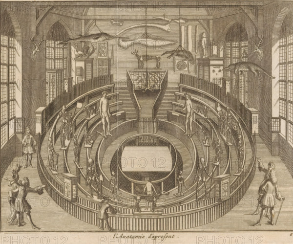 L'Anatomie d'apresent, Het Theatrum Anatomicum te Leiden seen from the inside, print, book