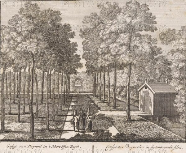 View of Duynrel in the northern ash forest, Conspectus Duynreliae in septentrionali silva, View of