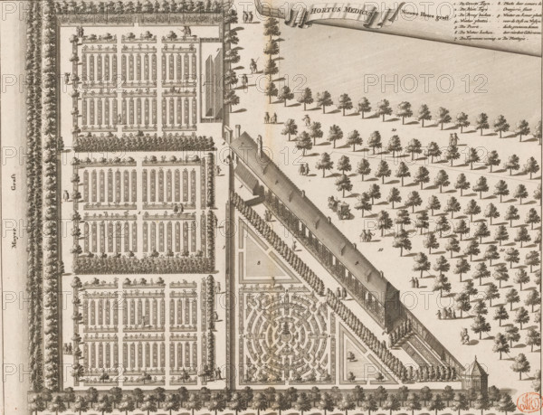 Hortus Medicus, Map of the Hortus Medicus (Botanical Garden) in Amsterdam, print, book