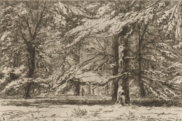 In the park of Groeneveld Castle (original title), Trees on the Groeneveld Castle estate, The