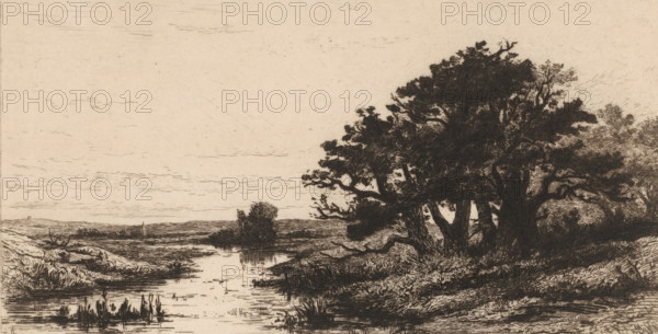 Landscape with oak trees near Wolfheze, Vieux chênes à Wolfhezen (original title), Sketches of