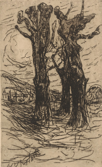 Chestnut trees (original title), print, printmaker: Floris Verster, 1890, paper, etching, intaglio