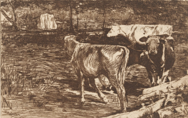 Milk bend (original title), Four cows in a meadow, print, printmaker: Willem de Zwart, c. 1885,