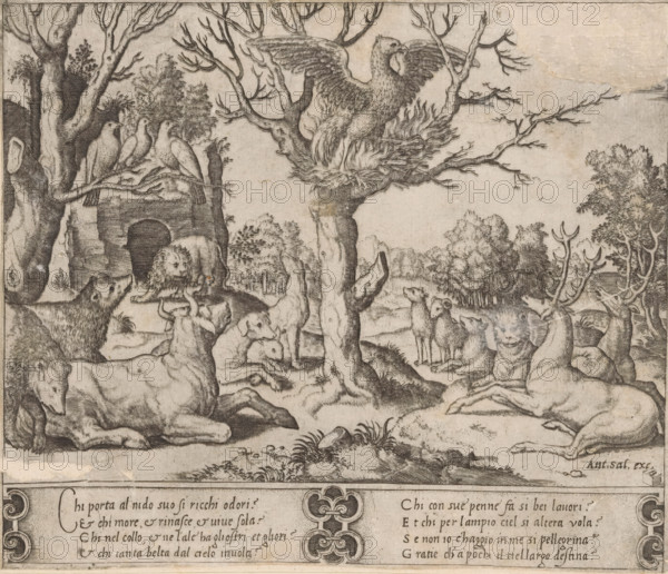 Phoenix, print, A self-immolating phoenix in a tree, surrounded by other animals including bears,