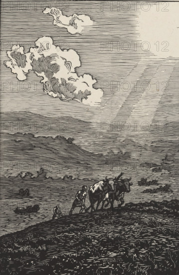 Les Boeufs (original title), print, Plowing cattle., printmaker: Paul-Emile Colin (signed by