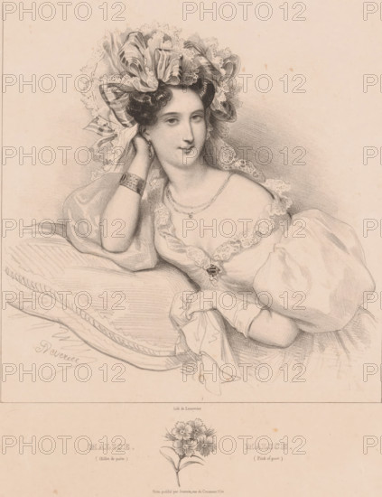 A thousand beauty and malice, Malice. Œillet de poète, Malice. Pink of poet, Language of flowers,