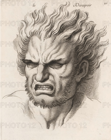 Le désespoir, Despair, print, book illustration, Series number, 20, printmaker: Jean Audran, Paris,