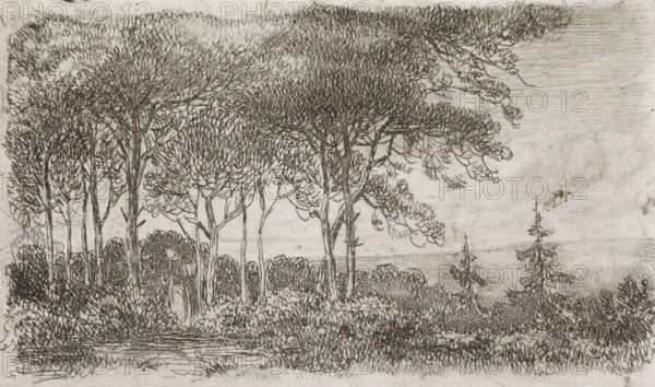 Woman by a row of trees, print, A wooded landscape with a woman with a basket on her back in the