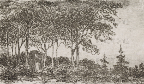 Woman by a row of trees, print, A wooded landscape with a woman with a basket on her back in the