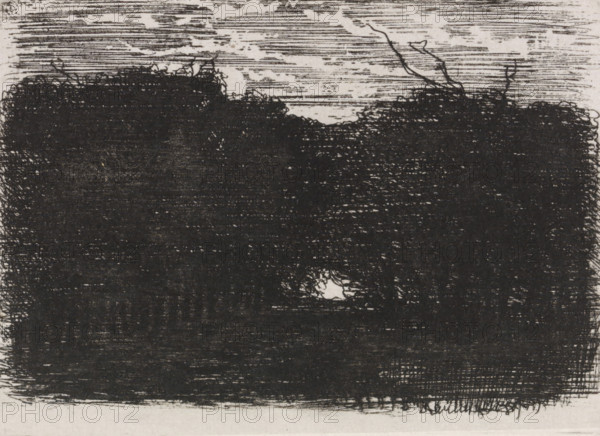Forest at night, print, signature, printmaker: Joseph Hartogensis (signed by artist), Netherlands,