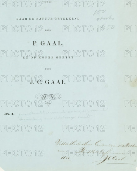 Cover for: Collection of studies. Drawn from nature by P. Gaal, and etched on copper by JC Gaal,