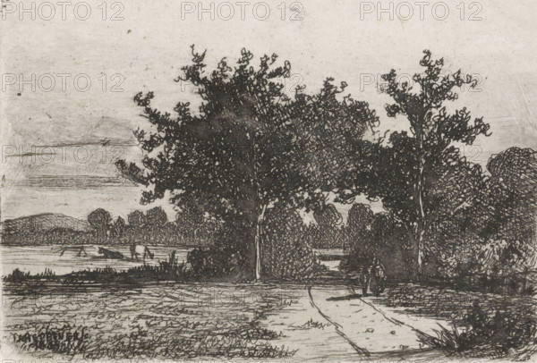 Country road, print, printmaker: Jan Heppener, The Hague, c. 1841 - 1898, paper, chine collé,