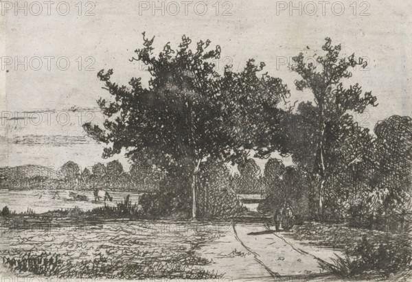 Country road, print, printmaker: Jan Heppener, The Hague, c. 1841 - 1898, paper, chine collé,