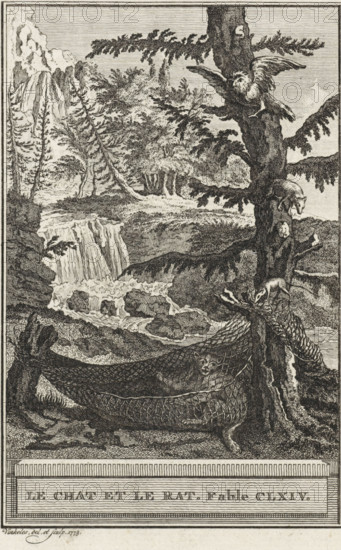 The Cat and the Rat. Fable CLXIV, The cat, the rat, the owl and the weasel, print, The owl and the