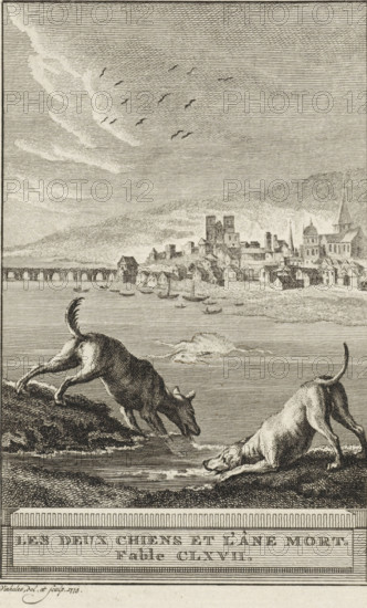 The Two Dogs and the Dead Donkey. Fable CLXVII, The Dogs and the Donkey, print, Two dogs are