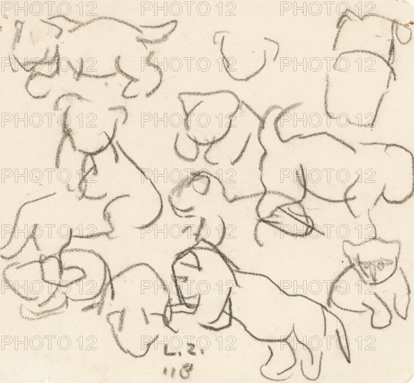 Sketches of a lion cub, drawing, draftsman (artist): Lambertus Zijl, 1918, draftsman (artist),