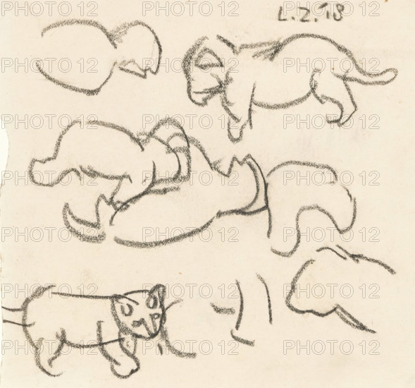 Sketches of a lion cub, drawing, draftsman (artist): Lambertus Zijl, 1918, draftsman (artist),