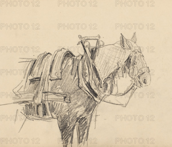 Harnessed cart horse, drawing, draftsman (artist): Pieter HJJ Ras, 1903-07-02, draftsman (artist),