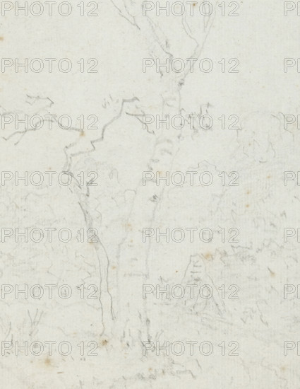 Landscape with widely branched tree, drawing, Album page with landscape with widely branched tree.,