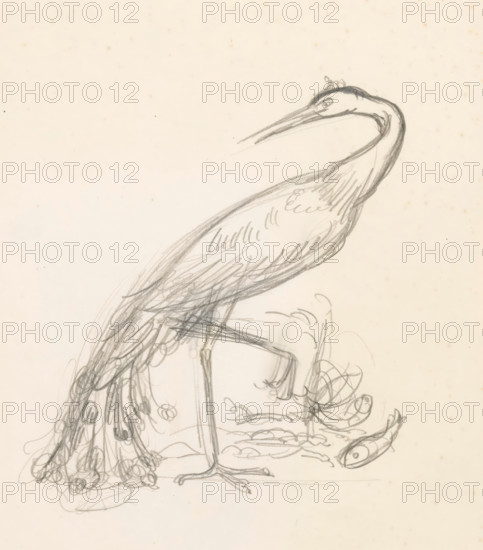 Heron at the water with two fish at its talons, drawing, watermark: 'GW, PAPIER, 1671', draftsman