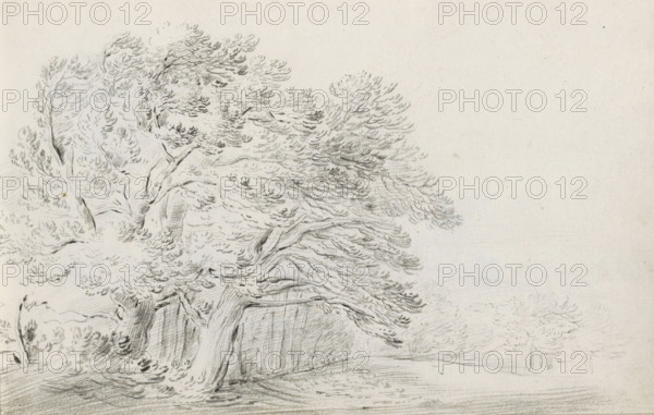 Landscape with group of trees, sketchbook page, Page 14 recto from a sketchbook with 39 pages.,