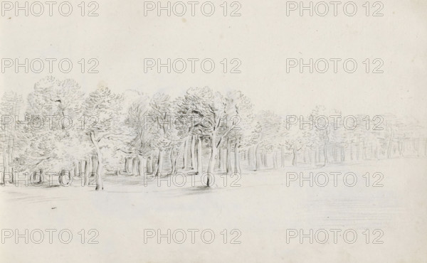 Forest edge, sketchbook page, Page 24 recto from a sketchbook with 39 pages., draftsman (artist):