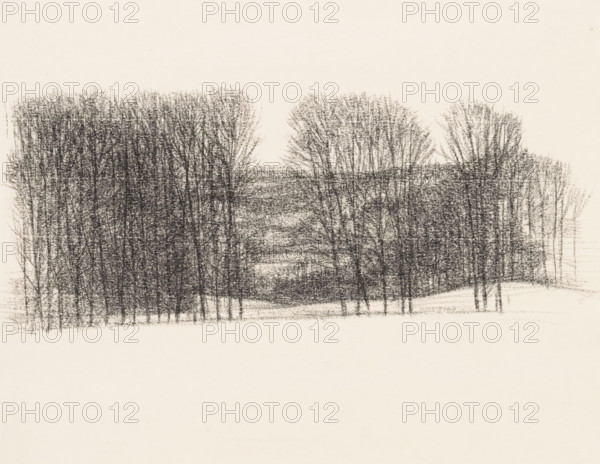 Trees in rolling landscape, drawing, draftsman (artist): Kees Stoop, 1939 - 2009, draftsman