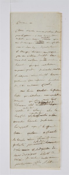 Premiers paragraphes du roman de Napoléon Bonaparte