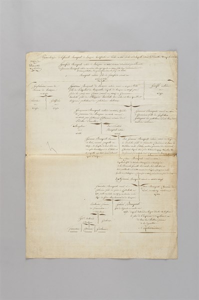Généalogie de la famille Bonaparte